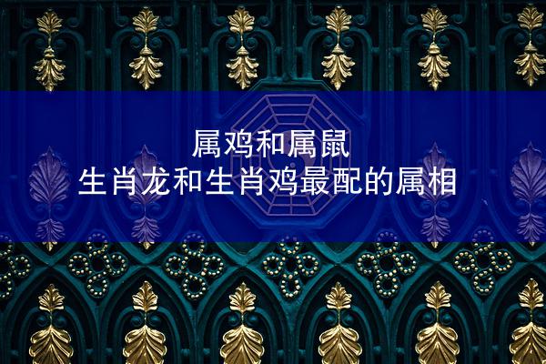 属鸡和属鼠 生肖龙和生肖鸡最配的属相