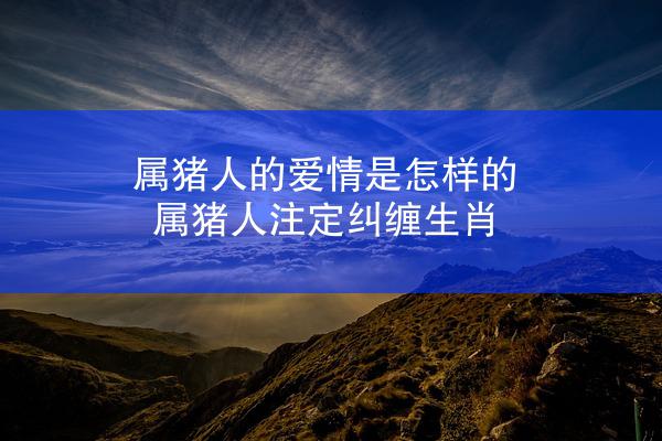 属猪人的爱情是怎样的 属猪人注定纠缠生肖
