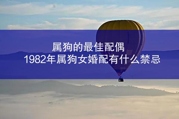 属狗的最佳配偶 1982年属狗女婚配有什么禁忌