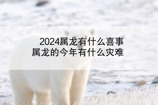 2024属龙有什么喜事 属龙的今年有什么灾难