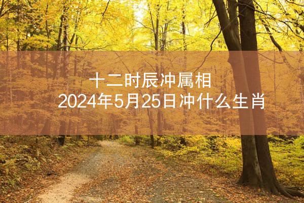十二时辰冲属相 2024年5月25日冲什么生肖