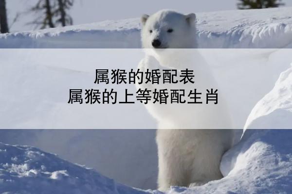 属猴的婚配表 属猴的上等婚配生肖