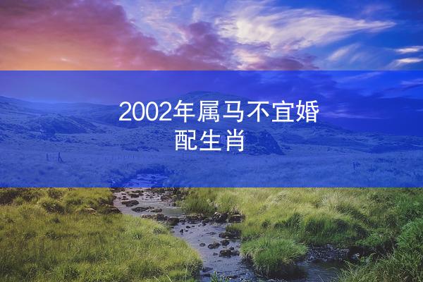 2002年属马不宜婚配生肖