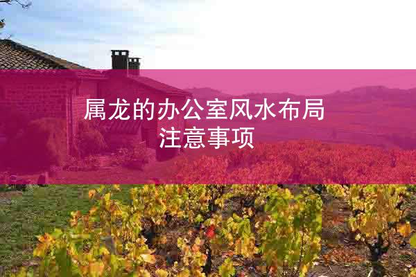 属龙的办公室风水布局注意事项