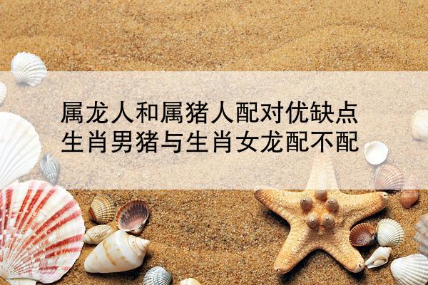 属龙人和属猪人配对优缺点 生肖男猪与生肖女龙配不配