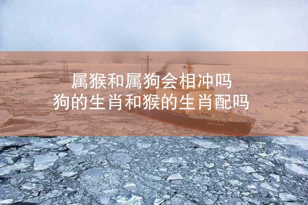 属猴和属狗会相冲吗 狗的生肖和猴的生肖配吗