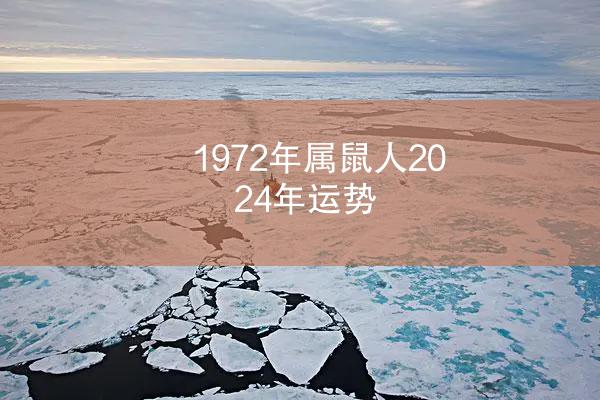1972年属鼠人2024年运势