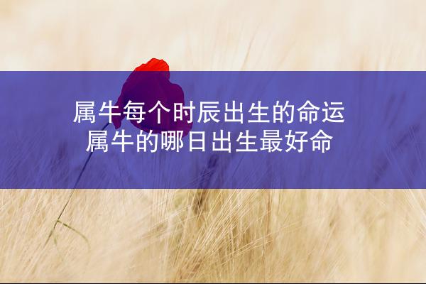 属牛每个时辰出生的命运 属牛的哪日出生最好命