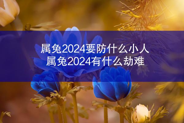 属兔2024要防什么小人 属兔2024有什么劫难