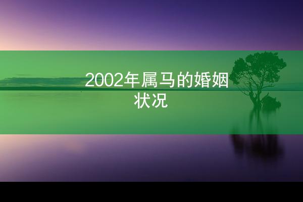 2002年属马的婚姻状况