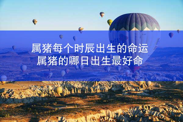属猪每个时辰出生的命运 属猪的哪日出生最好命