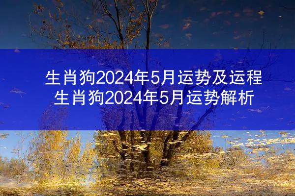 生肖狗2024年5月运势及运程 生肖狗2024年5月运势解析