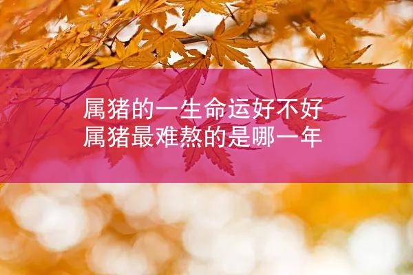 属猪的一生命运好不好 属猪最难熬的是哪一年