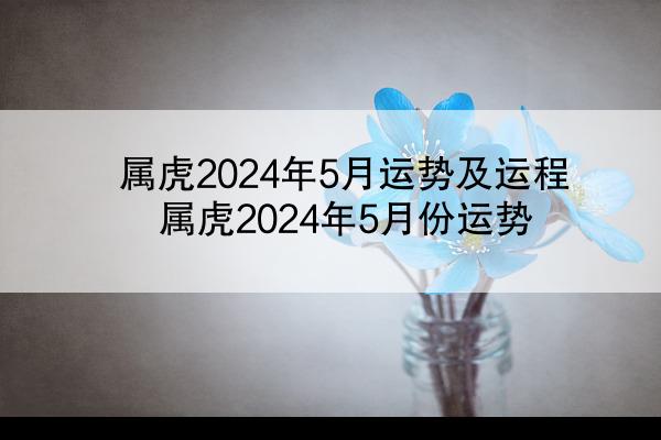 属虎2024年5月运势及运程 属虎2024年5月份运势