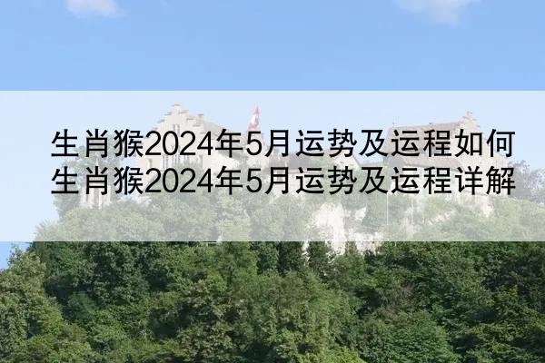 生肖猴2024年5月运势及运程如何 生肖猴2024年5月运势及运程详解