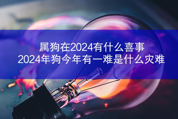 属狗在2024有什么喜事 2024年狗今年有一难是什么灾难