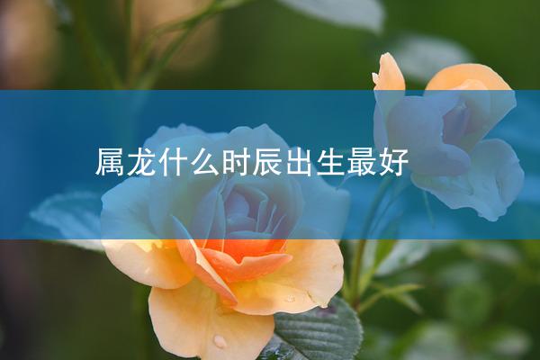 属龙什么时辰出生最好