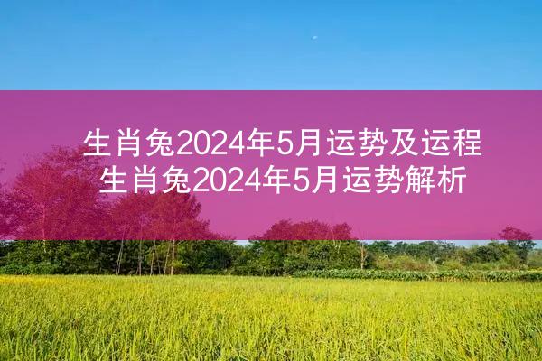 生肖兔2024年5月运势及运程 生肖兔2024年5月运势解析