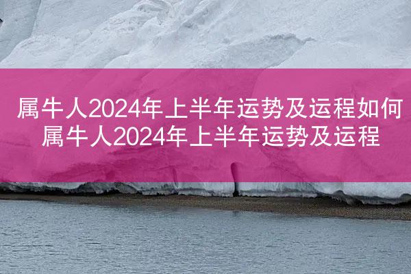 属牛人2024年上半年运势及运程如何 属牛人2024年上半年运势及运程