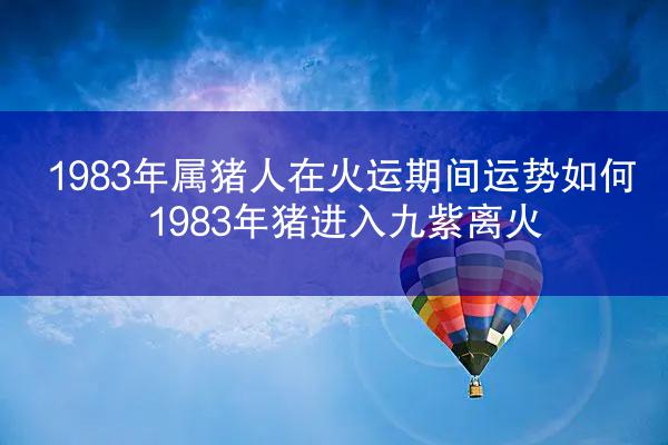 1983年属猪人在火运期间运势如何 1983年猪进入九紫离火