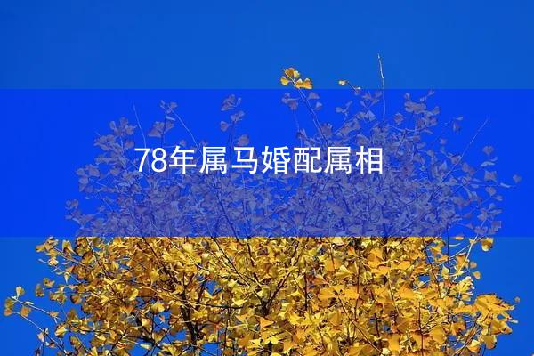 78年属马婚配属相