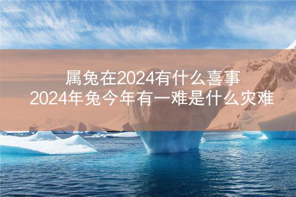 属兔在2024有什么喜事 2024年兔今年有一难是什么灾难