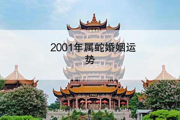 2001年属蛇婚姻运势