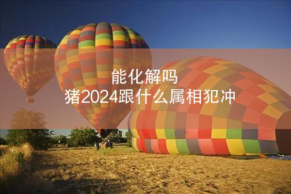 能化解吗 猪2024跟什么属相犯冲