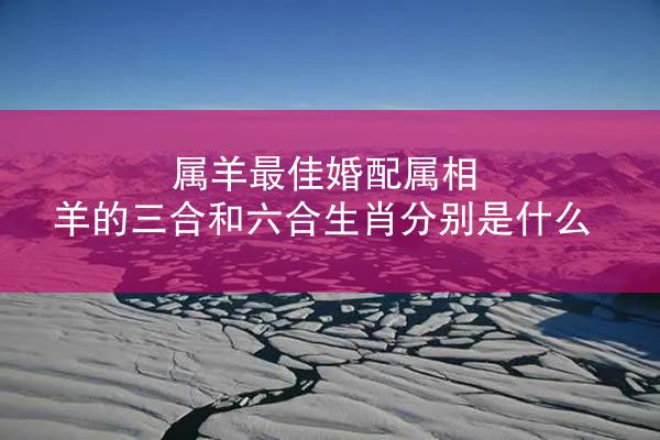 属羊最佳婚配属相 羊的三合和六合生肖分别是什么