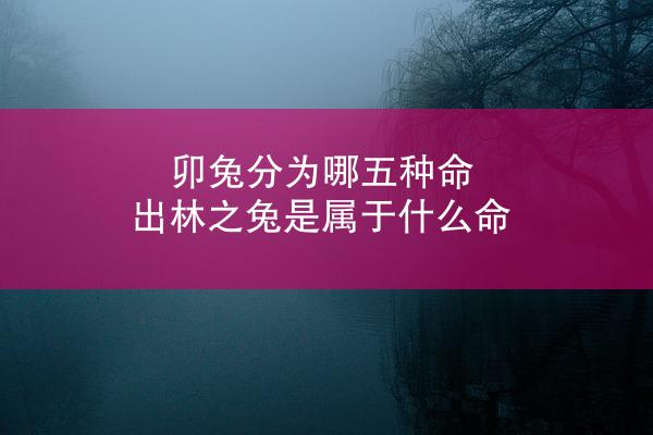 卯兔分为哪五种命 出林之兔是属于什么命