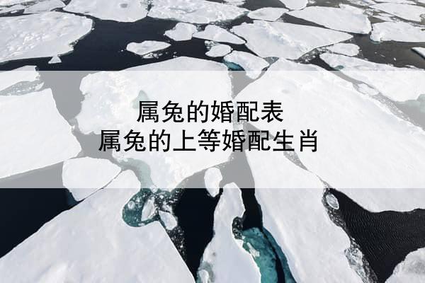 属兔的婚配表 属兔的上等婚配生肖