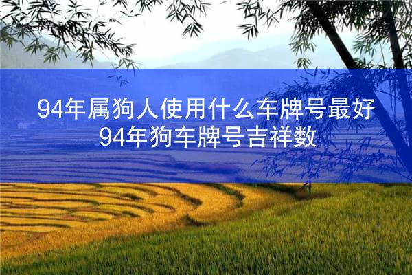 94年属狗人使用什么车牌号最好 94年狗车牌号吉祥数