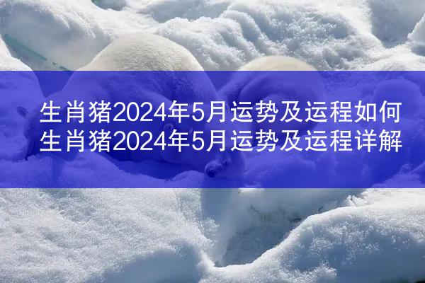 生肖猪2024年5月运势及运程如何 生肖猪2024年5月运势及运程详解