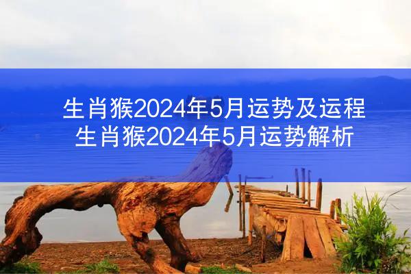 生肖猴2024年5月运势及运程 生肖猴2024年5月运势解析