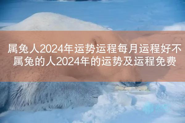 属兔人2024年运势运程每月运程好不 属兔的人2024年的运势及运程免费