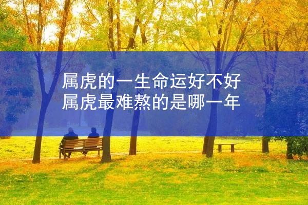 属虎的一生命运好不好 属虎最难熬的是哪一年