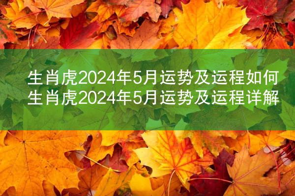 生肖虎2024年5月运势及运程如何 生肖虎2024年5月运势及运程详解