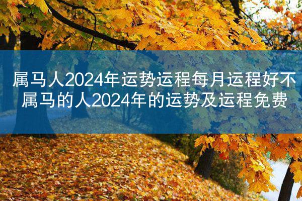 属马人2024年运势运程每月运程好不 属马的人2024年的运势及运程免费