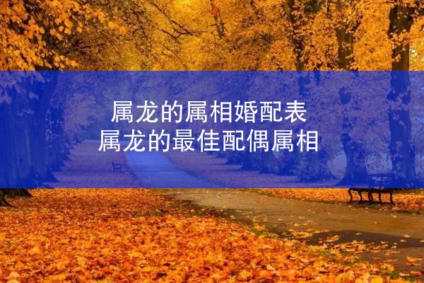 属龙的属相婚配表 属龙的最佳配偶属相