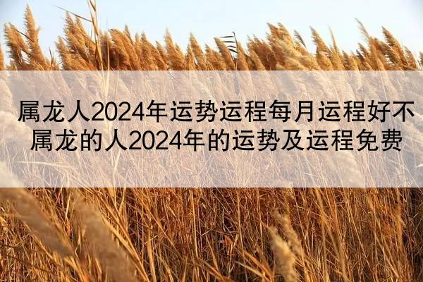 属龙人2024年运势运程每月运程好不 属龙的人2024年的运势及运程免费