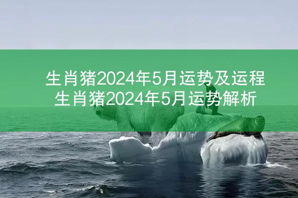 生肖猪2024年5月运势及运程 生肖猪2024年5月运势解析