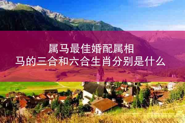 属马最佳婚配属相 马的三合和六合生肖分别是什么