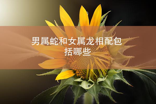 男属蛇和女属龙相配包括哪些
