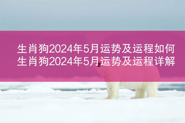 生肖狗2024年5月运势及运程如何 生肖狗2024年5月运势及运程详解