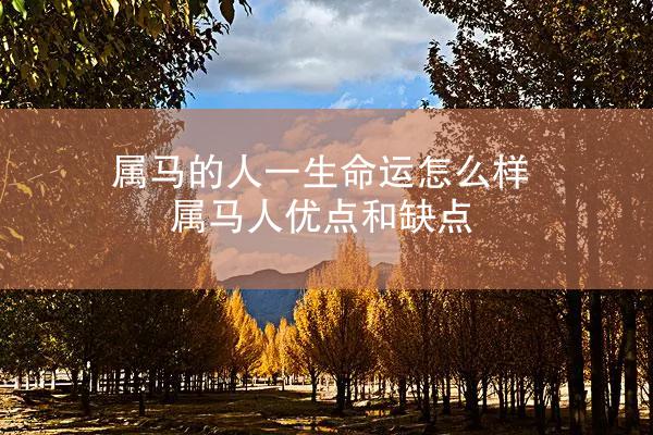 属马的人一生命运怎么样 属马人优点和缺点