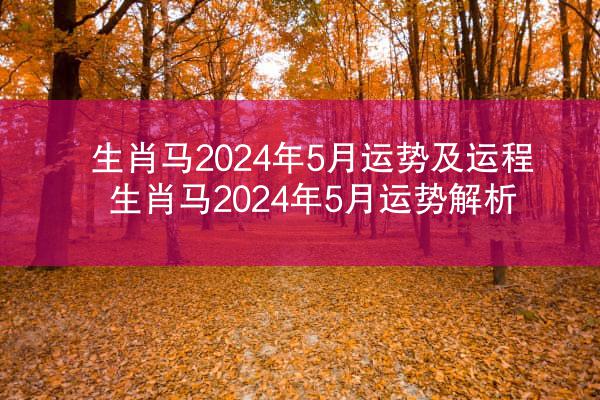 生肖马2024年5月运势及运程 生肖马2024年5月运势解析