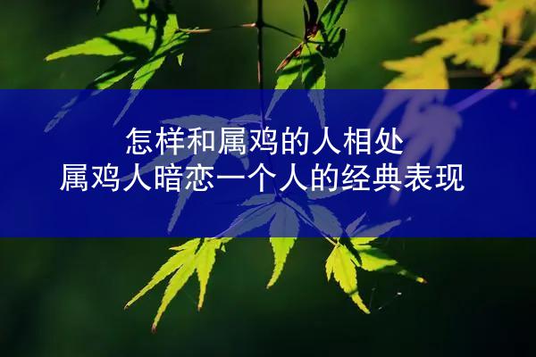 怎样和属鸡的人相处 属鸡人暗恋一个人的经典表现