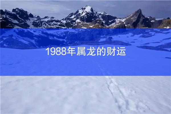 1988年属龙的财运