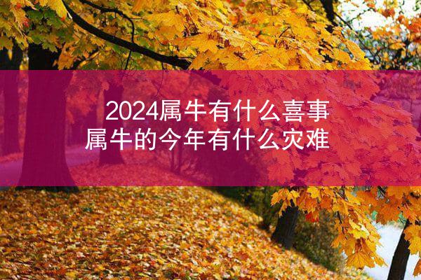 2024属牛有什么喜事 属牛的今年有什么灾难