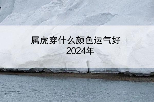 属虎穿什么颜色运气好2024年
